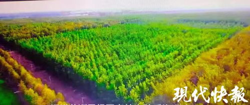 历时8年首次摸清家底,江苏共有林木种质资源22164份