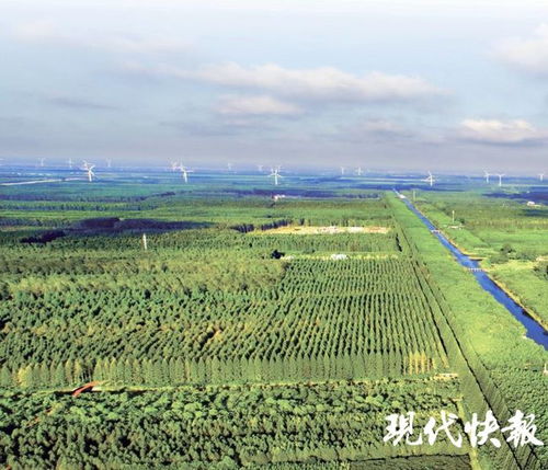 江苏林木种苗和林下经济产业总值已达746亿元