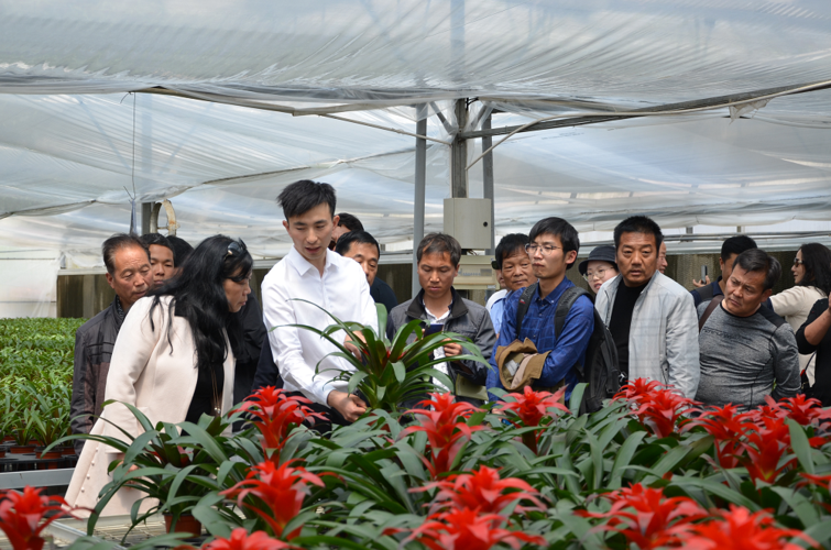 西安市林木种苗工作站指导临潼区成功举办苗木花卉生产管理技术观摩